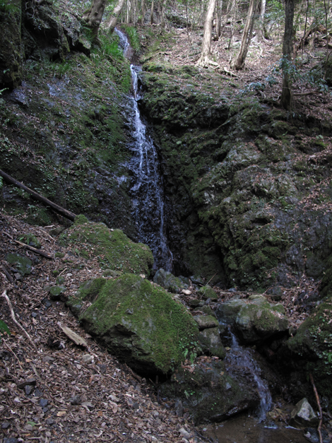 20140102hike (301)